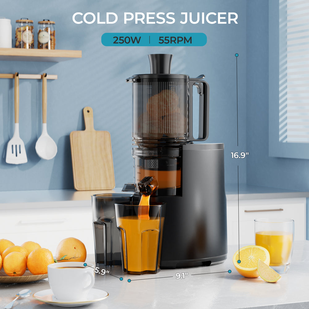 
                      
                        【Silver will be shipped on Aug 10th】EUHOMY Extra Large Feed Chute Slow Masticating Juicer
                      
                    