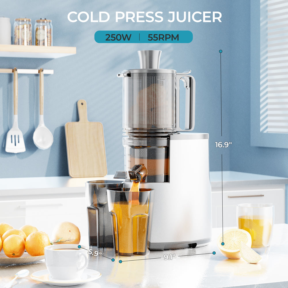 
                      
                        【Silver will be shipped on Aug 10th】EUHOMY Extra Large Feed Chute Slow Masticating Juicer
                      
                    