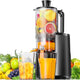 【Silver will be shipped on Aug 10th】EUHOMY Extra Large Feed Chute Slow Masticating Juicer